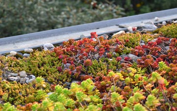 the cost of Colemere green roof installation