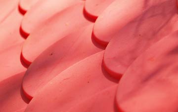 Colemere plastic roof costs